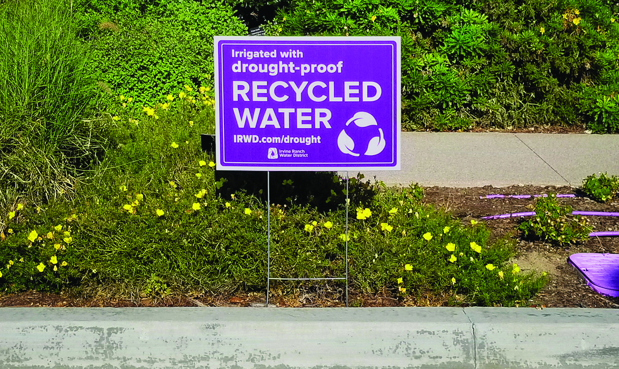 Recycled Water Sign Cropped 20220718 2K 082649